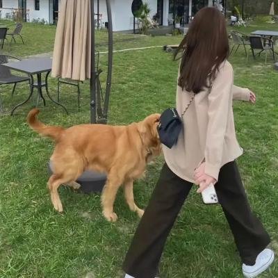 爱征服一切