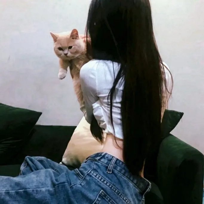 积积木积积